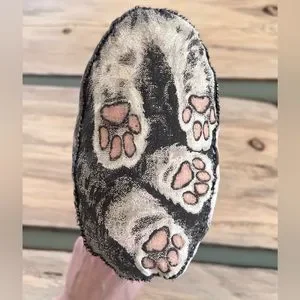 Cat Paw Pads Toe Bean Pillow Cat Pillow Paw 2025